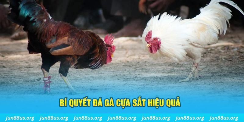 link w88 nổ hũ may mắn