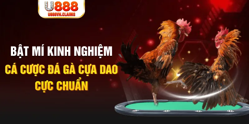 link w88 casino hồ tràm có cho người việt vào không