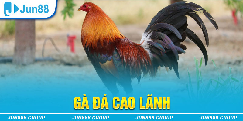 link w88 tai game vua bai ve may tinh