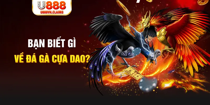 link w88 xo so mien bac