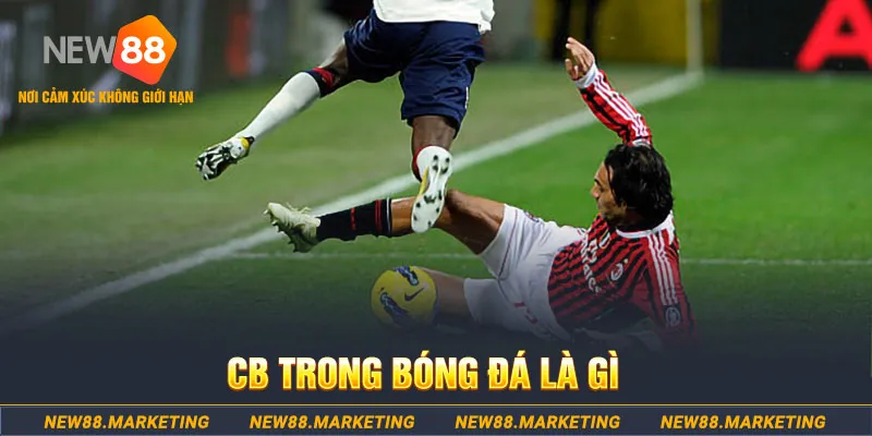 link w88 DG Trực Tuyến