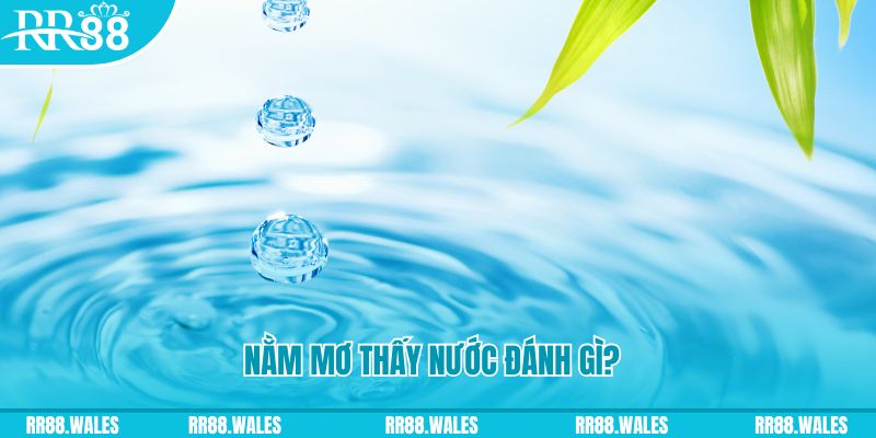 link w88 xổ số trực tiếp miền bắc