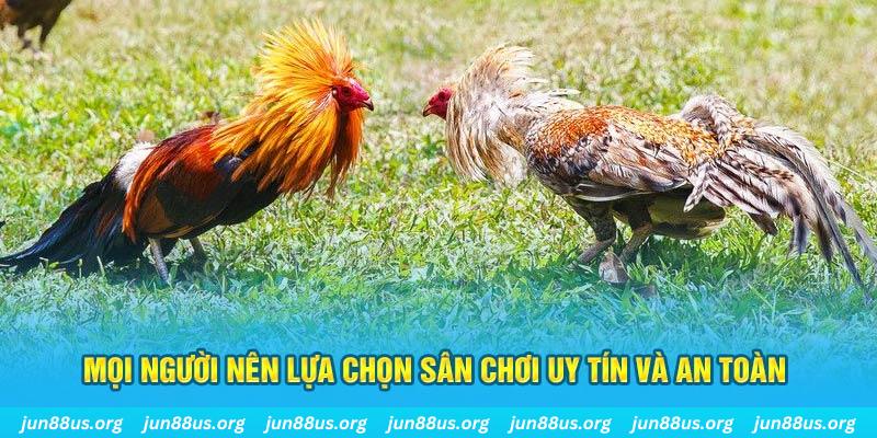 link w88 đăng nhập poker 2025