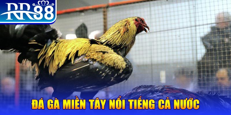 link w88 đá gà 88