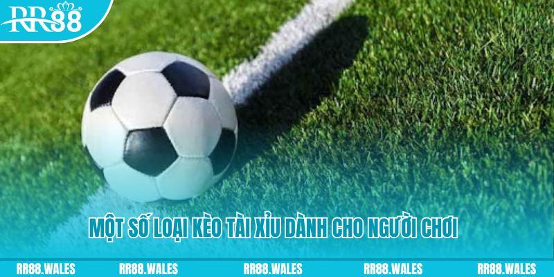 link w88 slot nghĩa là gì