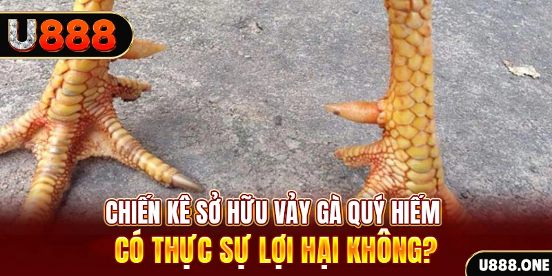 link w88 xổ số miền trung
