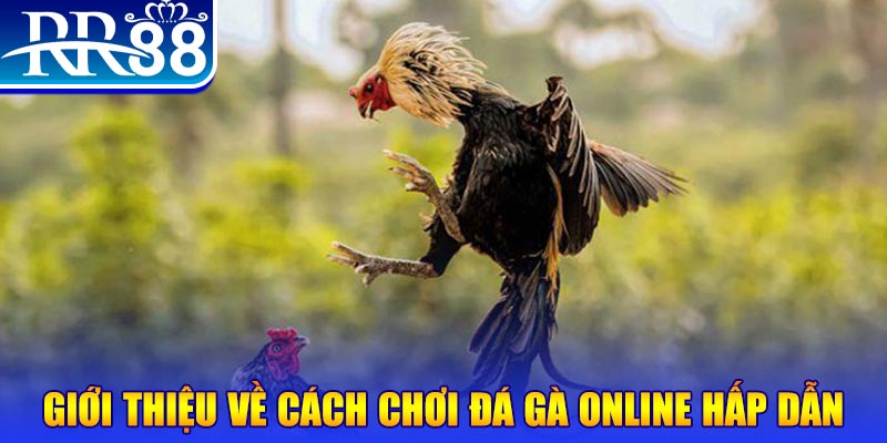 link w88 bắn cá h5 là gì