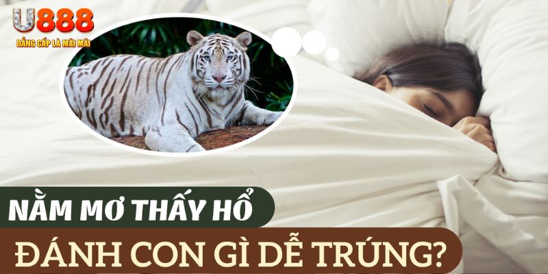 link w88 nohu .mx nổ hủ là gì