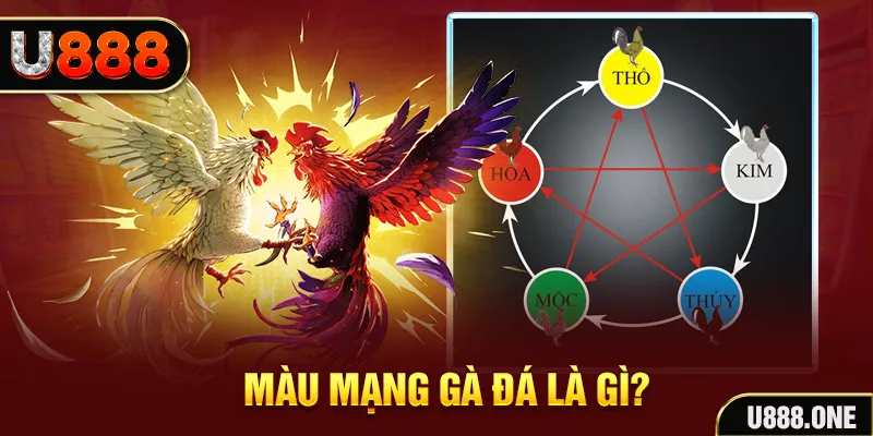 link w88 V8 Game Bài 3d