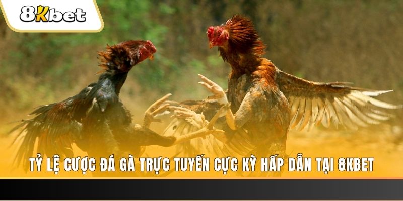 link w88 xổ số miền bắc chủ nhật