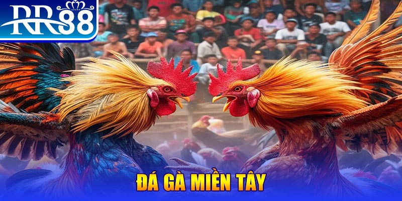 link w88 đăng nhập liêng đổi thưởng