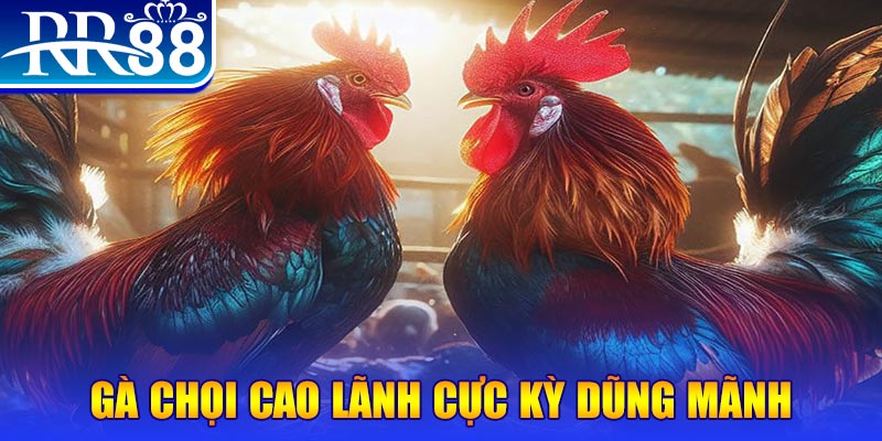 link w88 đăng nhập poker live